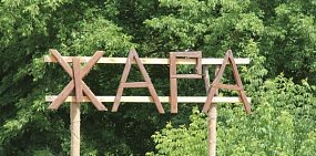 Погода в Оренбургской области 