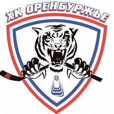 ХК «Белые Тигры»: почему правительство перестало финансировать клуб?