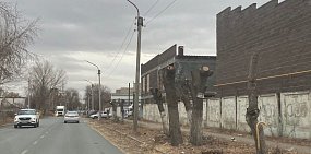 В центре Орска убирают спиленные несколько недель назад деревья инновационным для города способом