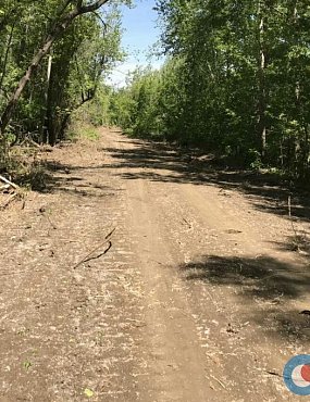 Зачем в Орске расчистили дорогу к перекату на реке Урал?