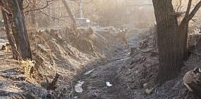 Расчистка Суходола; фото с тг-канала Владимира Пескова