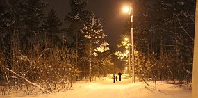 До 15 февраля в Оренбурге можно проголосовать за территорию, которую благоустроят в 2022 году