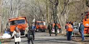 В Зауральной роще Оренбурга может появиться ландшафтный парк