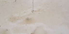 Необычного цвета снег. Фото: соцсети