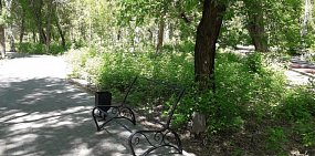 Жители Орска просят повесить камеры и охранять парк Строителей от вандалов