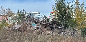 «Все, что не пригодилось, выкидывают в поле»: жители Оренбурга пожаловались на беспорядок рядом с новостройкой