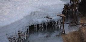 Какая погода ждет оренбуржцев в ближайшие 3 дня?