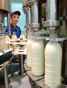 В молочном цеху