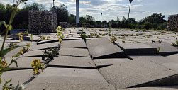 Жанровая скульпутра Европа-Азия