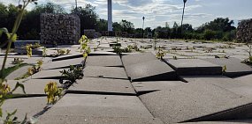 Жанровая скульпутра Европа-Азия