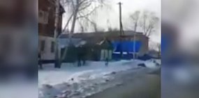 По Оренбургу бегала раненая косуля. Видео 