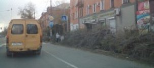 В Новотроицке по улице Советской после обрезки деревьев остались лишь пеньки