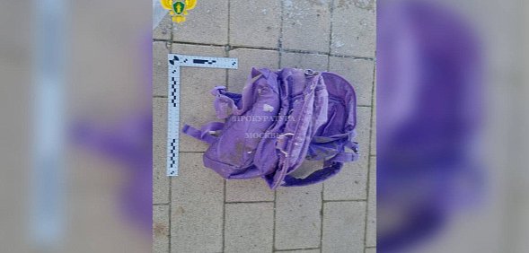 6-летнего ребенка, чью голову нашли в пруду в Москве, убил и расчленил отчим. Мать помогала замести следы