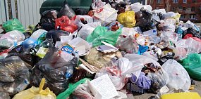 На сортировку мусора в России в этом году требуется 1 млрд руб