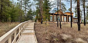 Новая тропа в парке Боровой лесной опытной станции. Фото нацпарк «Бузулукский бор»