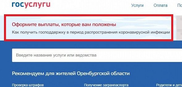 Как через сайт Госуслуг оформить 10 000 рублей на детей, которые пообещал Владимир Путин