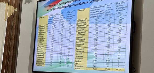 В Оренбургской области зарегистрировали всего 22 000 домашних собак из 100 000 предполагаемых
