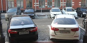 В России предлагают ввести зеленые номера для электромобилей и бирюзовые — для беспилотников