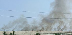Горящее поле в Орске. Фото прислали подписчики 