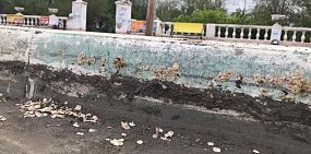 В Орске красят только открытую часть бордюров, не снимая с них грязь