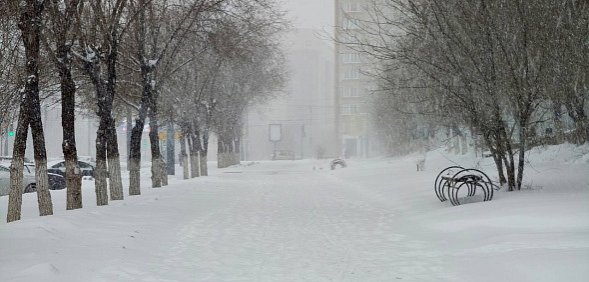 8 января в Оренбургской области ожидается ветер до 15 м/с