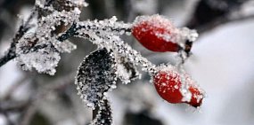 Ближайшей ночью в Оренбургской области ожидается до -30,-35°С