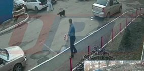 Момент нападения. Источник: Стоп-кадр из видео ТГ-канала «ОРТ Новости Оренбуржья»
