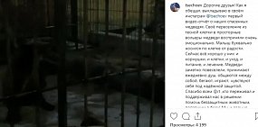 Мэр Магаса показал, как сейчас живут спасенные им медведи из Оренбургской области