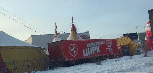 Дрессировщик рассказал свою версию нападения тигра на работника цирка в Орске