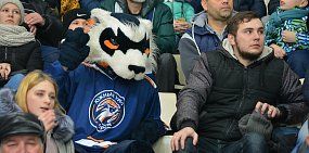 Хорек Степа разослал жителям Орска повестки