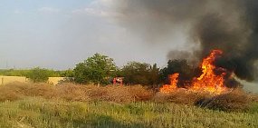 С начала года в Оренбургской области зафиксировали более 1350 природных пожаров