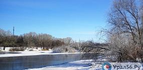 Ближе к выходным в Оренбуржье похолодает до -15°С
