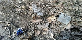 В Орске убирают дворы: листва уходит, мусор остается