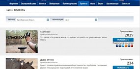 Фильмы о Бузулукском боре и лошадях Пржевальского борются за международную награду