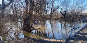 Уровень рек Оренбургской области за сутки в среднем снизился на 2-19 см. Актуальные данные по водоемам 
