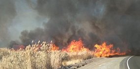 В Оренбургской области продолжается пожароопасный сезон. Что делать запрещено, а что не рекомендовано?
