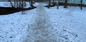 В Оренбурге школьник получил сотрясение мозга из-за гололеда. Мэрия выплатит 100 000 рублей