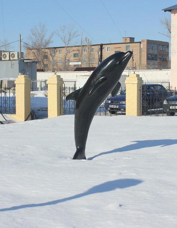Черный дельфин