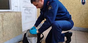 Работа следствия на месте. Источник: Следственный комитет РФ по Оренбургской области 