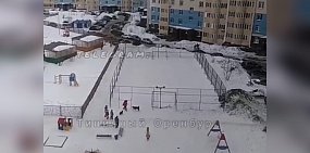 В Оренбурге 2 собаки окружили мужчину на детской площадке. Видео 