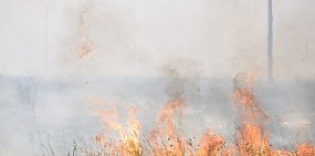 Администрация Орска готовит эвакуационные пункты на случай степных пожаров