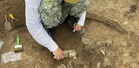 Археологи нашли уникальный жертвенный комплекс кочевников под Оренбургом