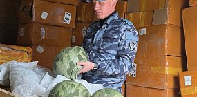 На границе с Оренбургской областью изъяли 14 беспилотников и 500 шлемов, которые тайно везли в Москву