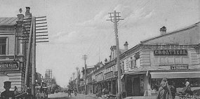 До 4500 собак в год: Как более века назад в Оренбурге обстояла ситуация с отловом и уничтожением бродячих собак