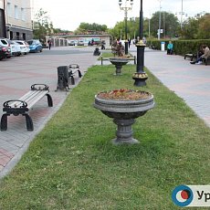 Клумбы и газоны Орска не радуют взгляд
