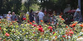 Какая погода ждет жителей Оренбурга и Орска на выходных?