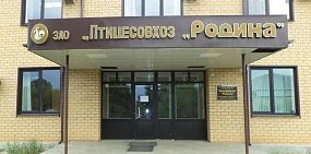 Люксовое авто вместо зарплаты сотрудникам: Как с птицефабрики «Родина» «утекают» активы