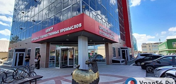 Оренбургская фабрика пуховых платков пока остановлена не будет. Арбитражный суд разблокировал счета, арестованные ранее по делу о банкротстве