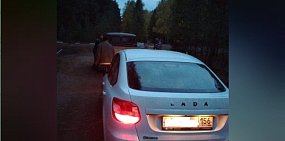 В Бузулукском бору нашли пропавшего грибника. Домой он вернулся с протоколом