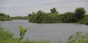 В Оренбургской области открывается сезон охоты